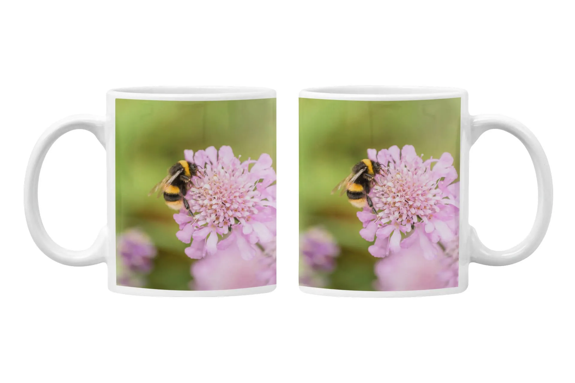 Bee on Scabious Flower Mug