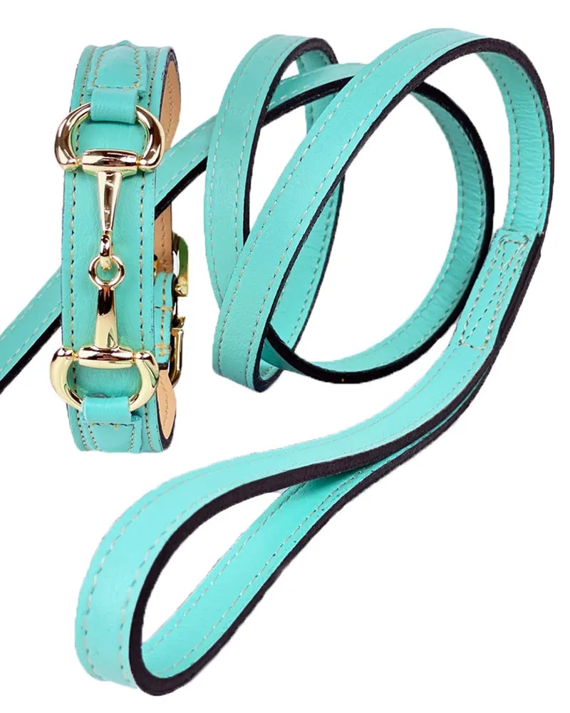 Belmont Dog Collar in Turquoise & Gold