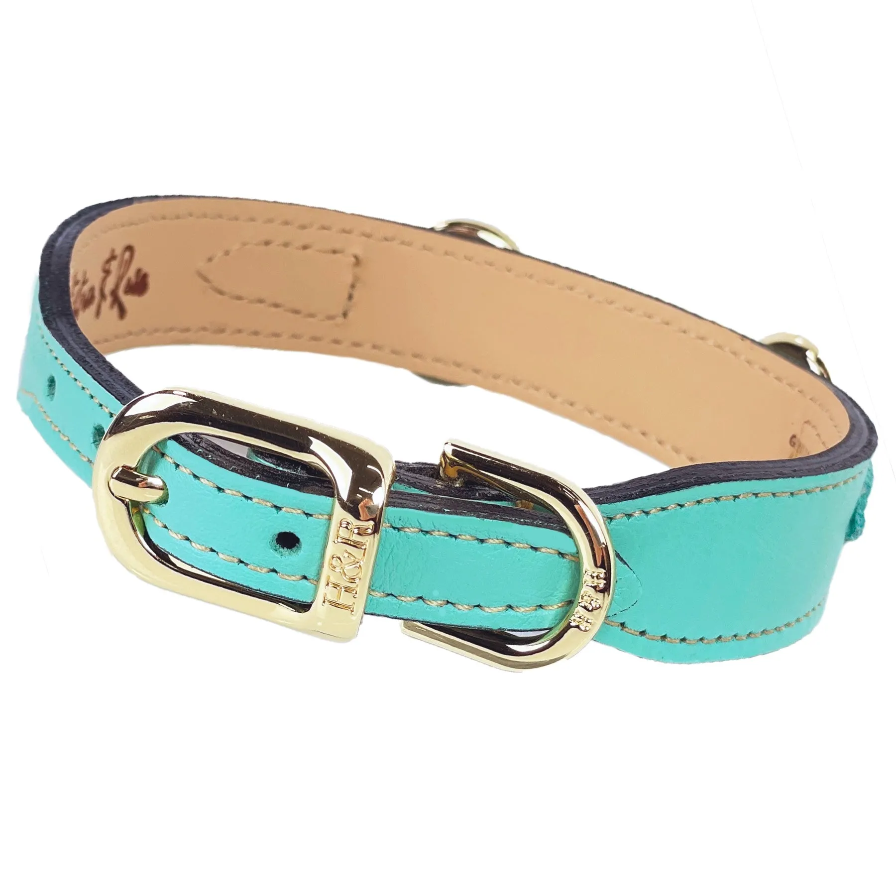 Belmont Dog Collar in Turquoise & Gold