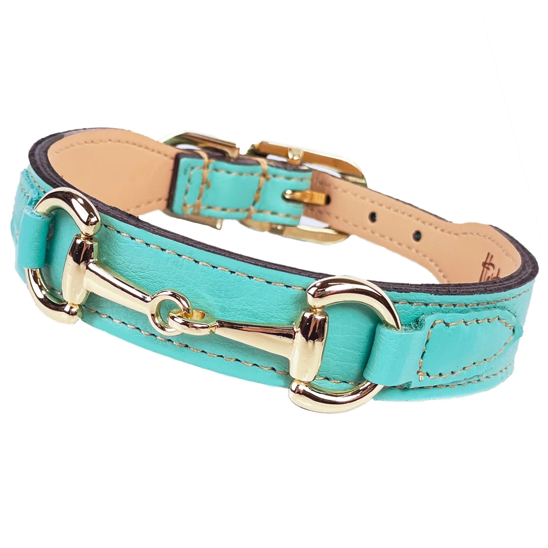 Belmont Dog Collar in Turquoise & Gold