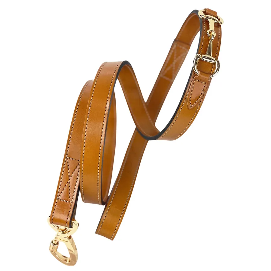 Belmont Dog Leash in Buckskin & Gold