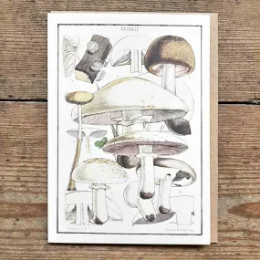 Greeting Card - Fungi