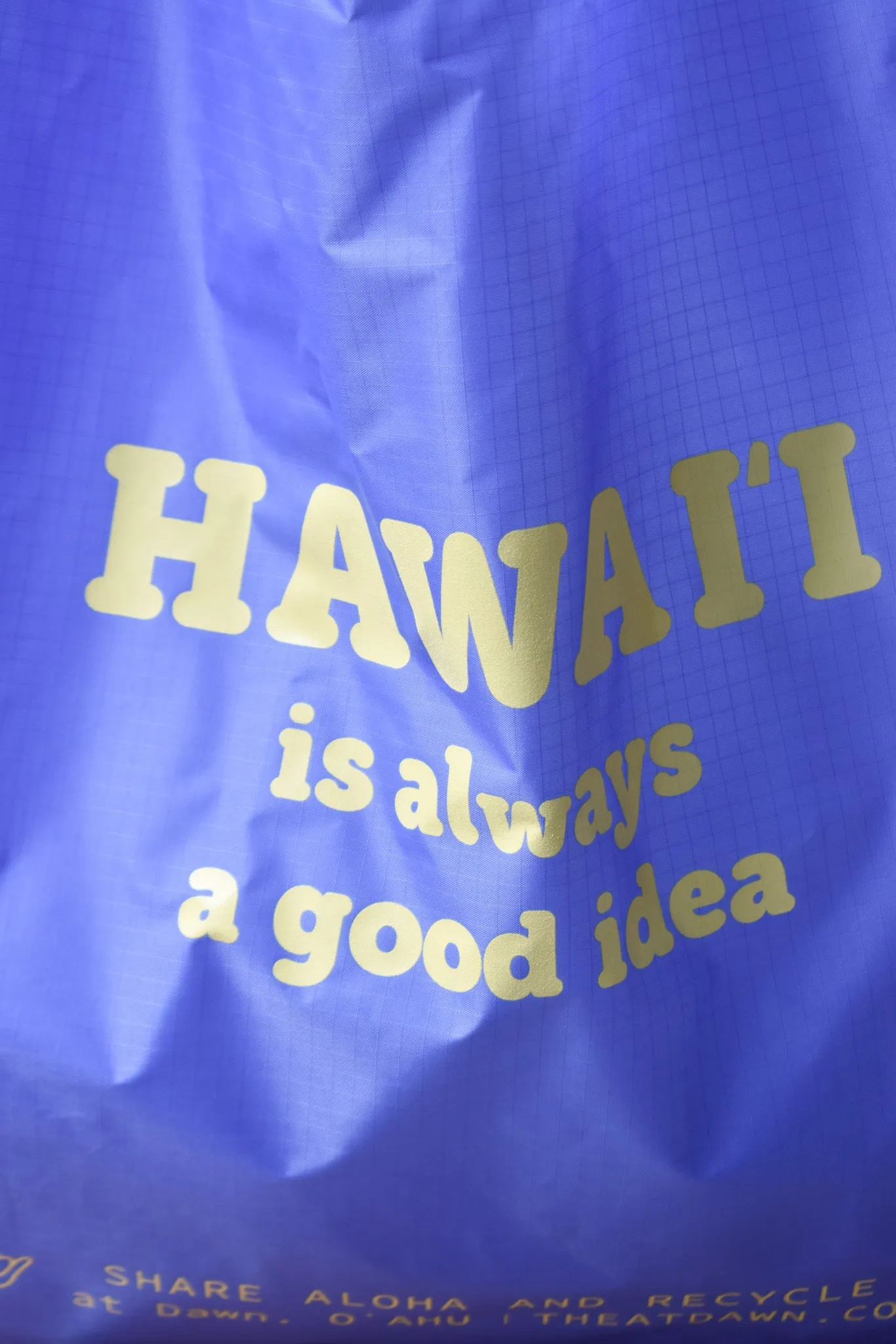 "Hawaii" Standard Baggu - Pansy Blue