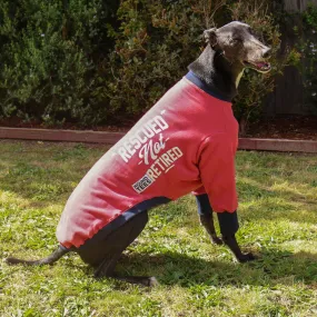 Rescued Not Retired Maroon Greyhound Sweater